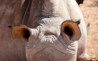mariental 028