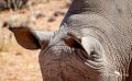 mariental 029