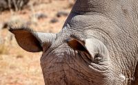 mariental 029