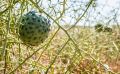 mondlandschaft 024