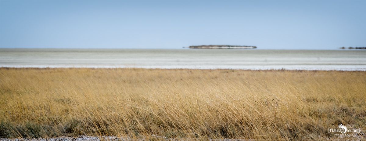 etosha 001