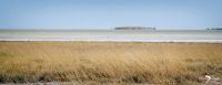 etosha 001