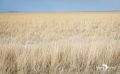 etosha 002