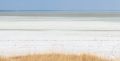 etosha 004