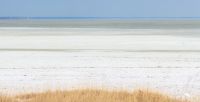 etosha 004