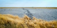 etosha 009