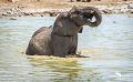 etosha 019