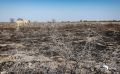 etosha 022