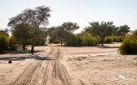 brandberg 004