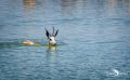 etosha 037