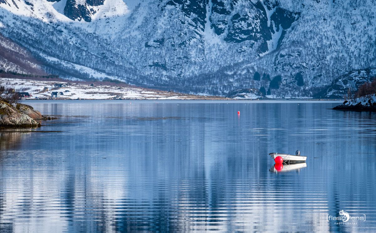 lofoten 2022 005
