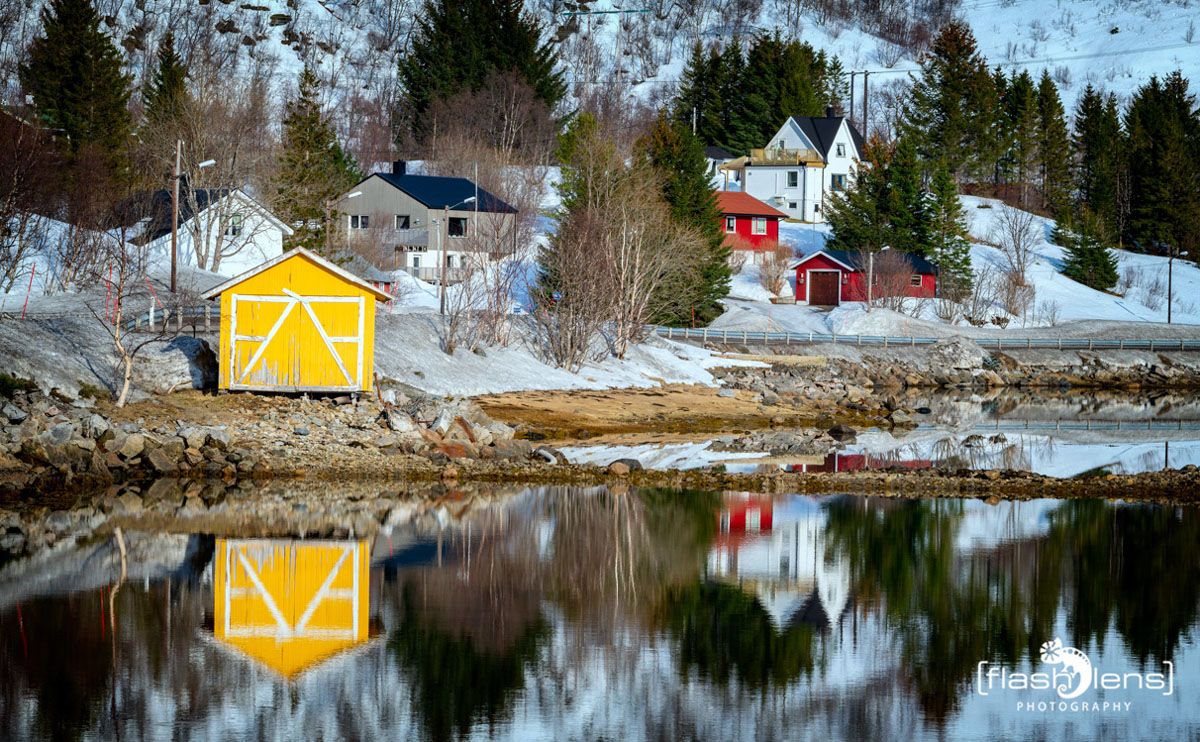 lofoten 2022 006