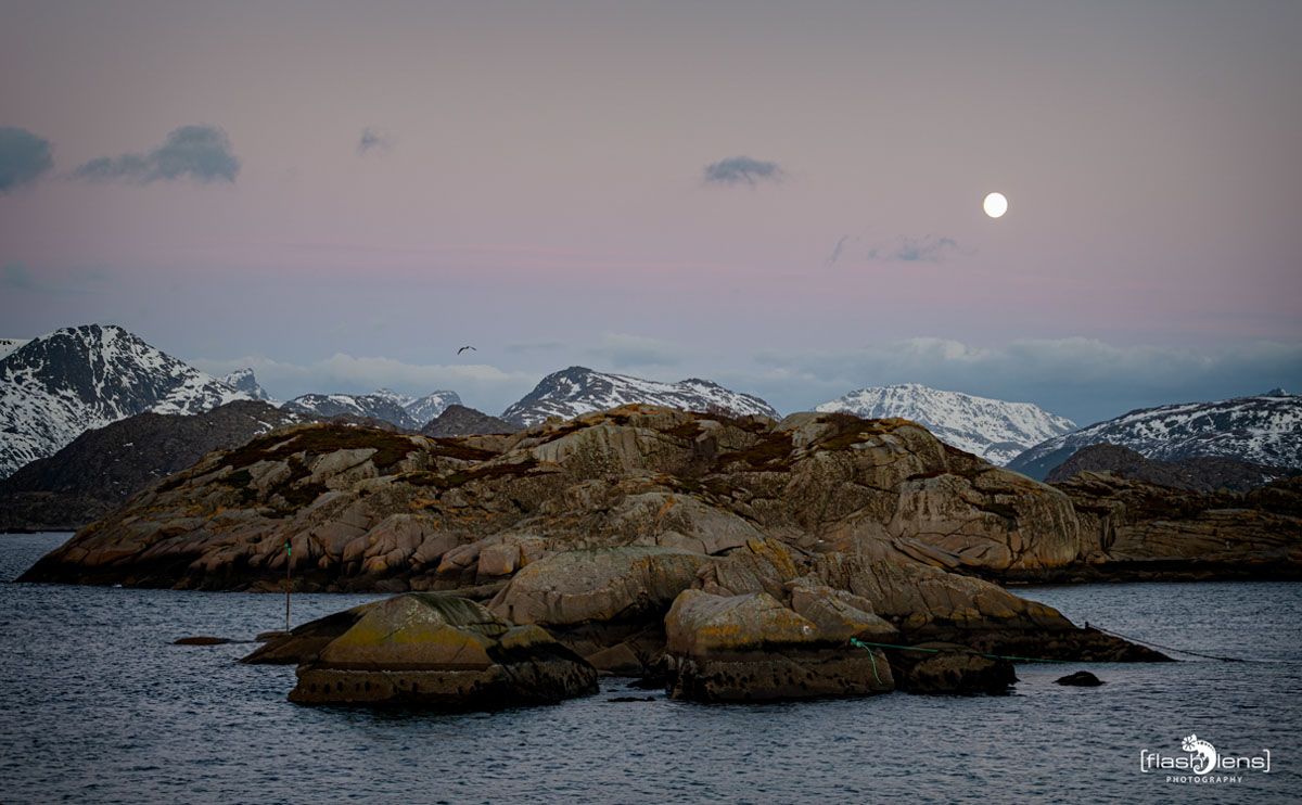 lofoten 2022 014