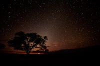 Galerie 03 Polentswa 24 1