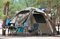 Galerie 06 Mata Mata 01