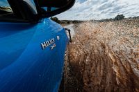 Galerie 06 Mata Mata 31