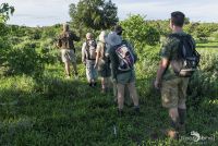 Safari Guide Kurs 003