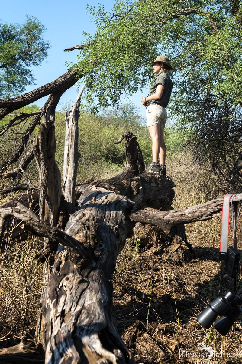 Safari Guide Kurs 022