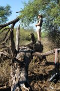 Safari Guide Kurs 022