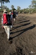 Safari Guide Kurs 023