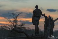 Safari Guide Kurs 025