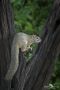 Safari Guide Kurs 049