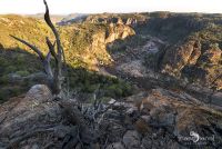 Safari Guide Kurs 059