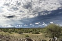 Safari Guide Kurs 080