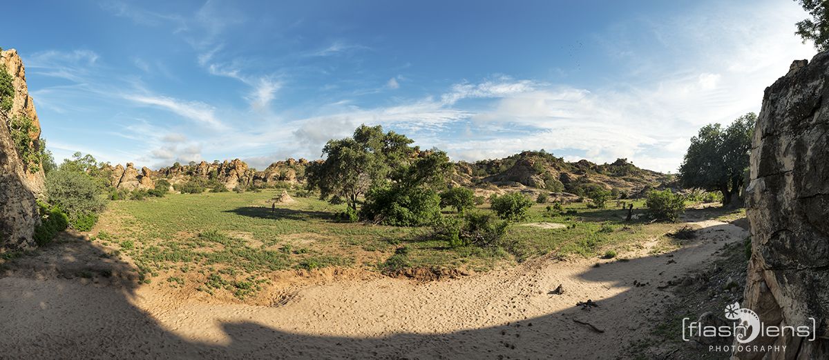 Safari Guide Kurs 081