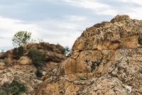 Safari Guide Kurs 083