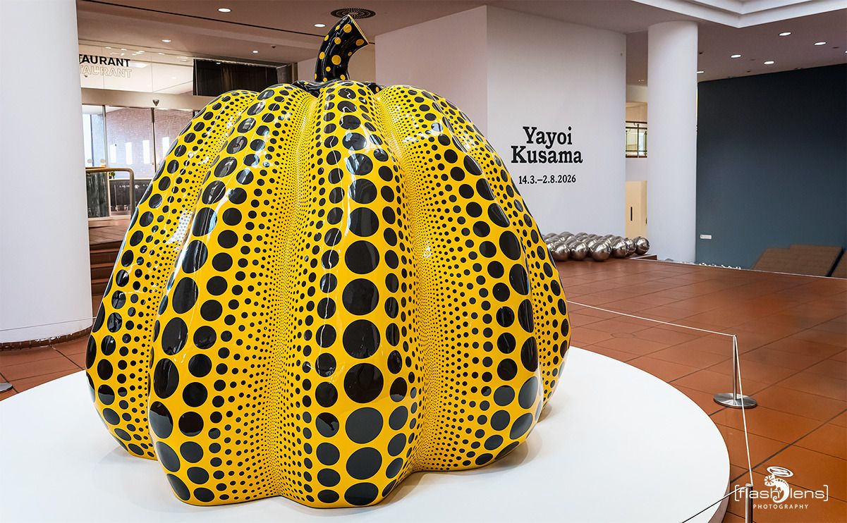 ausstellung yayoi kusama