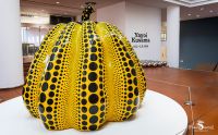 ausstellung yayoi kusama