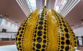 ausstellung yayoi kusama