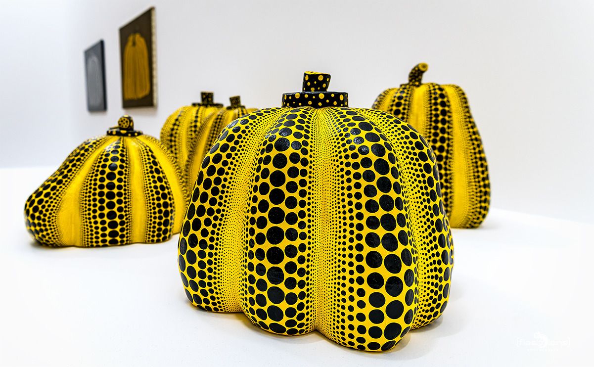 ausstellung yayoi kusama