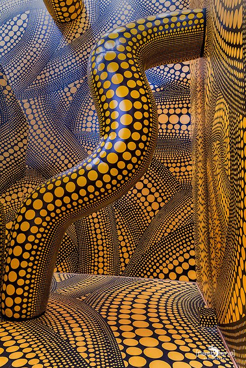 ausstellung yayoi kusama