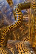 ausstellung yayoi kusama
