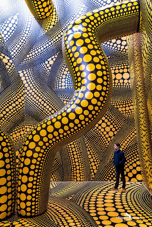 ausstellung yayoi kusama