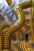 ausstellung yayoi kusama
