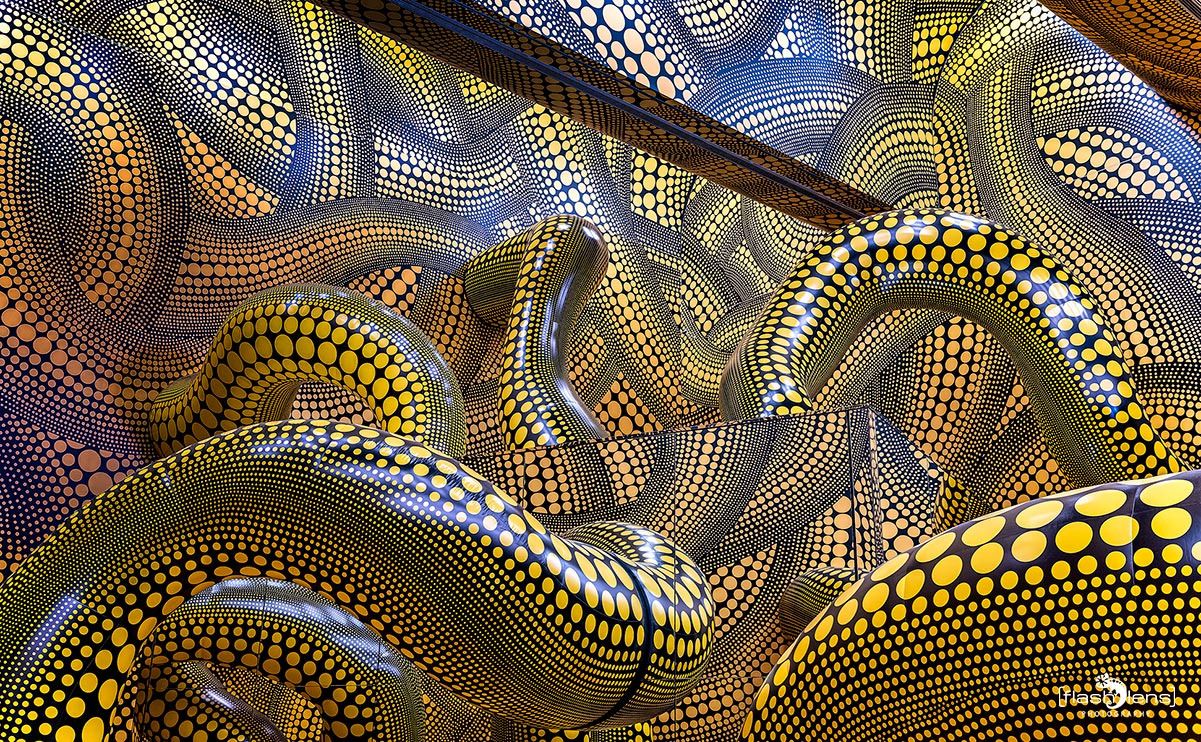 ausstellung yayoi kusama