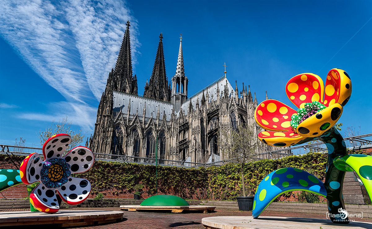ausstellung yayoi kusama