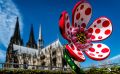 ausstellung yayoi kusama