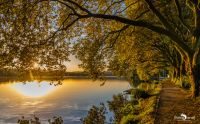 baldeneysee