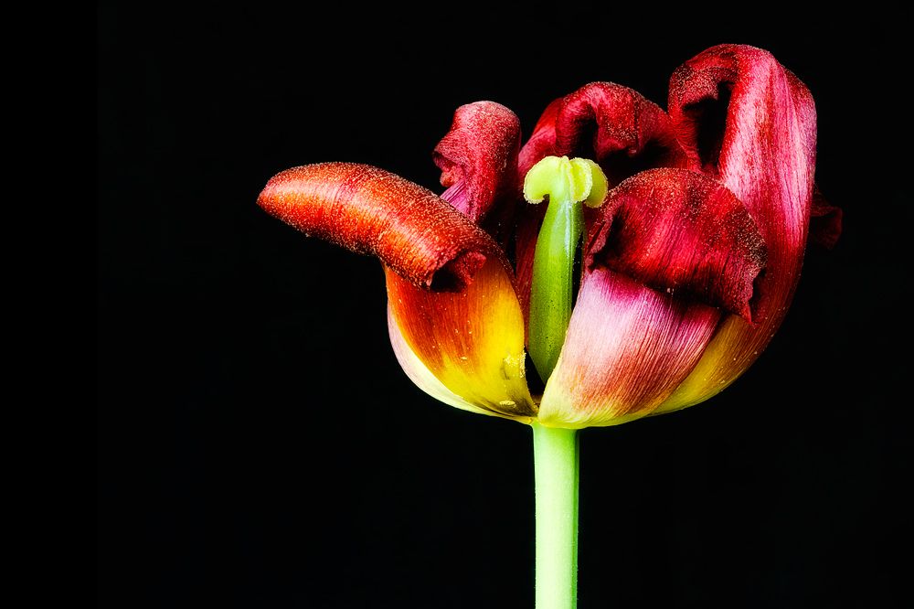 best of 2011