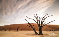 030 deadvlei