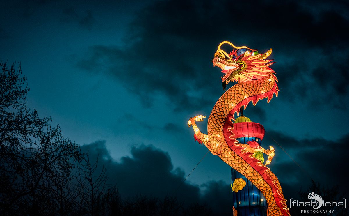 chinese light festival