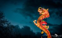chinese light festival