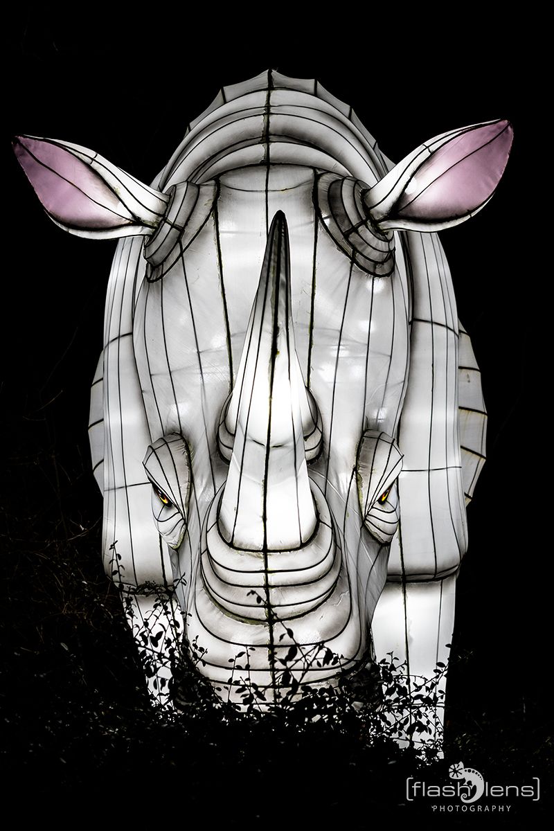chinese light festival