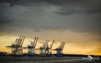 hamburg
