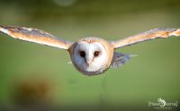 weltvogelpark