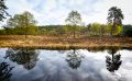 wahner heide